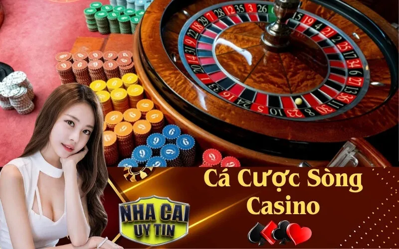 Cá Cược Sòng Casino